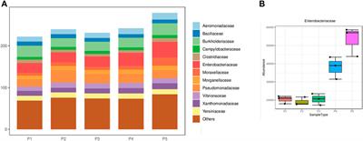 Microbiome analyses of the Uraim River in the Amazon and georeferencing analyses to establish correlation with anthropogenic impacts of land use